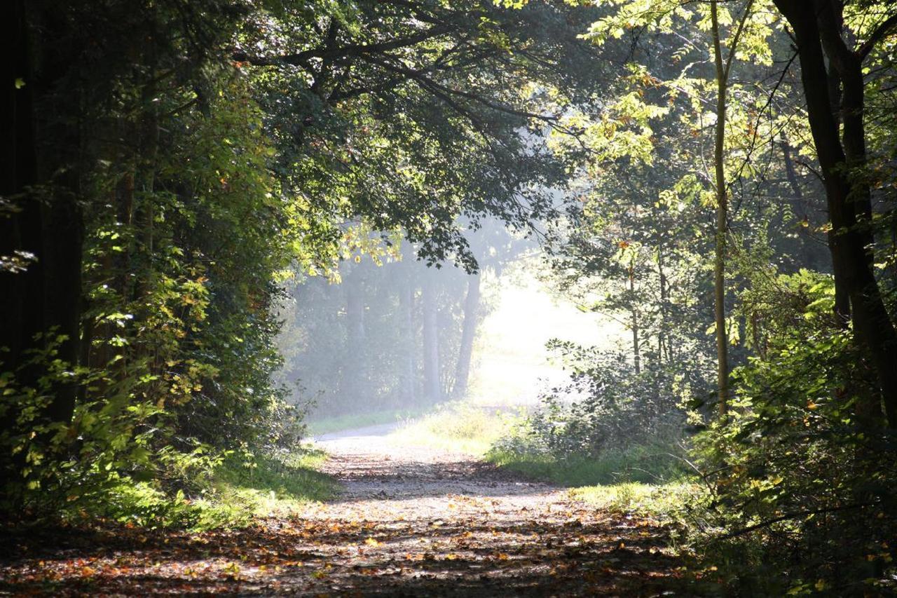 Ferienwohnungen Christine Bad Staffelstein Bagian luar foto